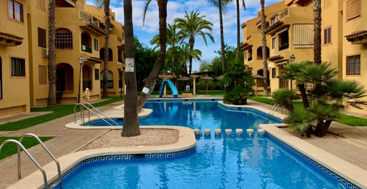 Appartement -  - La Mata - La Mata